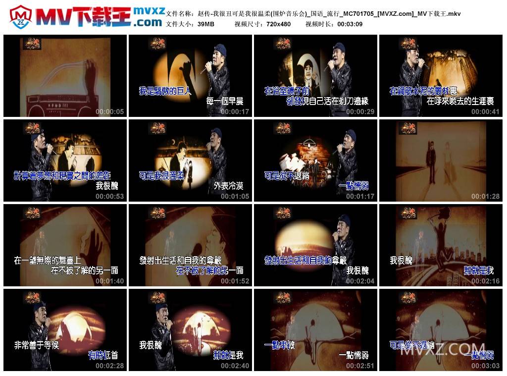 赵传-我很丑可是我很温柔(围炉音乐会)_国语_流行_MC701705